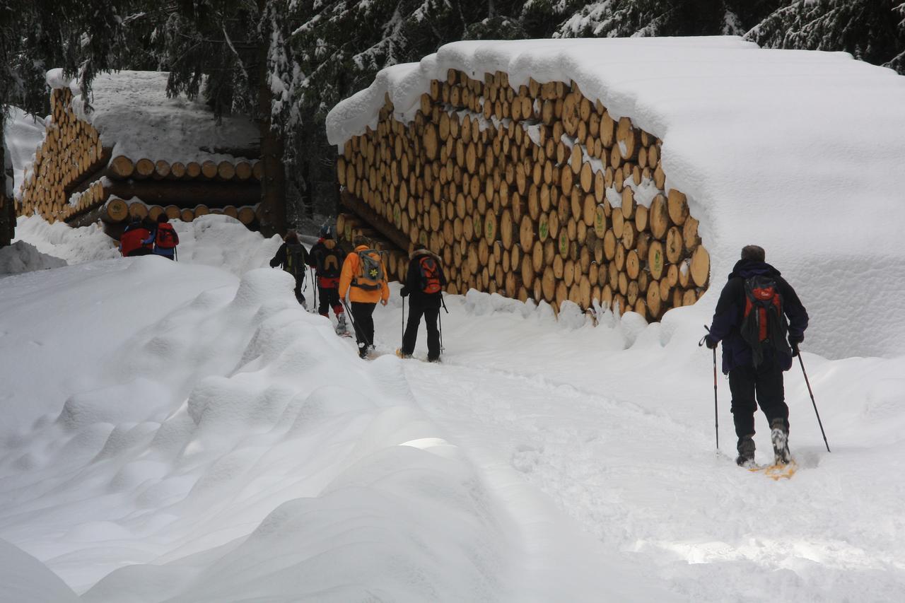 Gasthof Edelweiss Tires Bagian luar foto